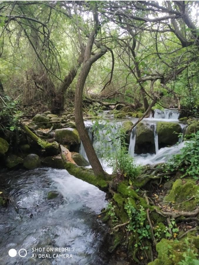 Alojamientos Sierra De Cadiz Бенамаома Экстерьер фото